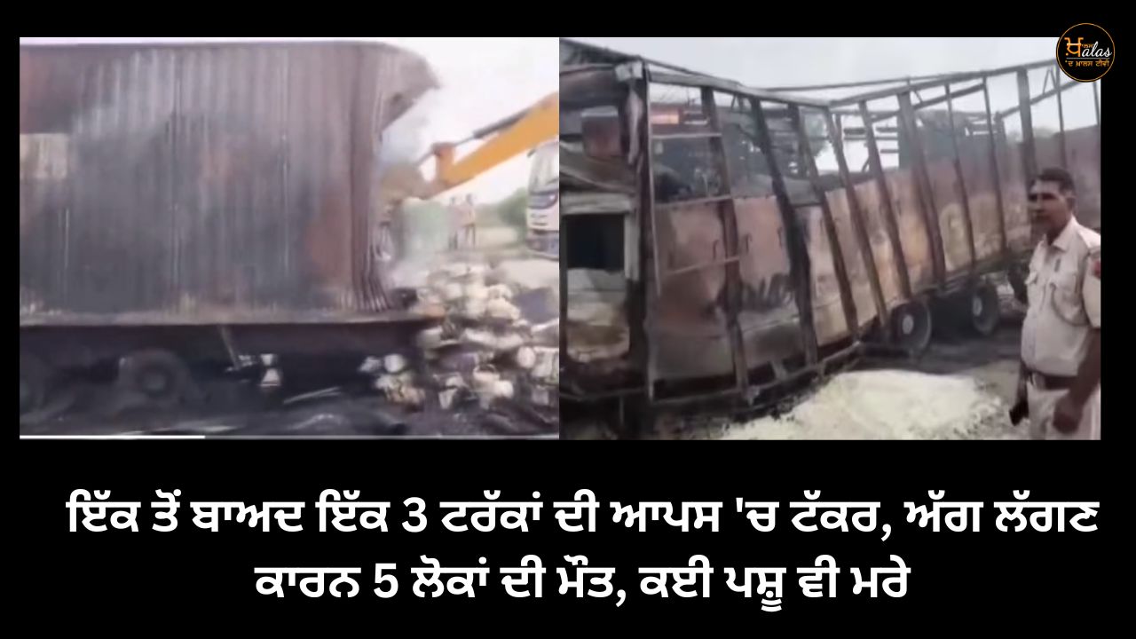 3 trucks collided one after the other 5 people died due to fire many cattle also died