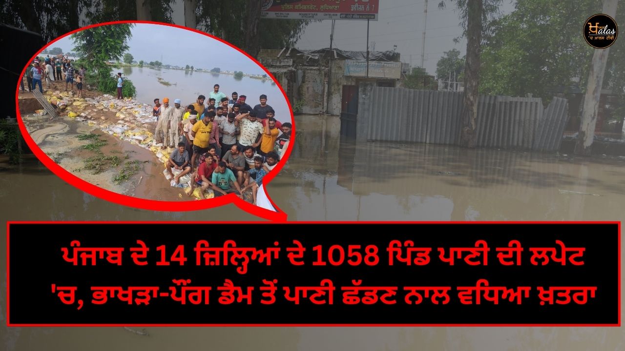 1058 villages of 14 districts of Punjab under water, danger increased due to release of water from Bhakra-Pong Dam