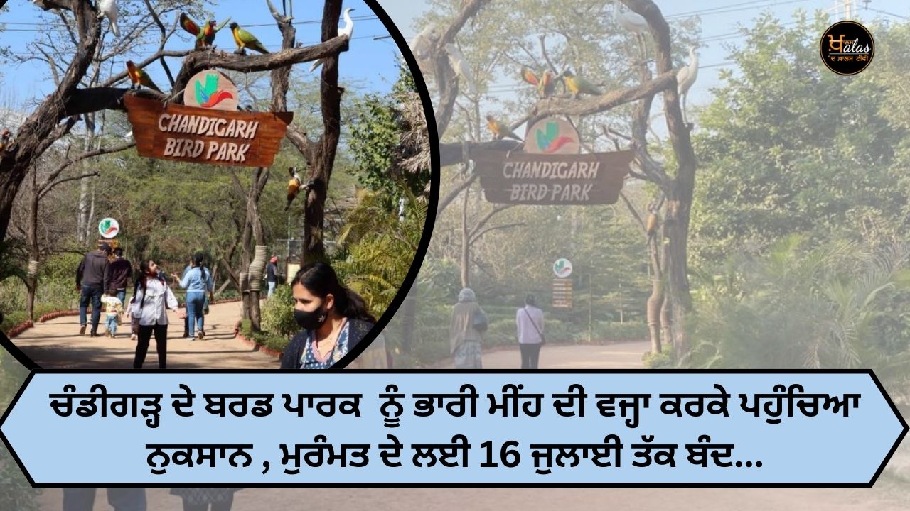 Chandigarh Bird Park damaged due to heavy rain, closed till July 16 for repairs...