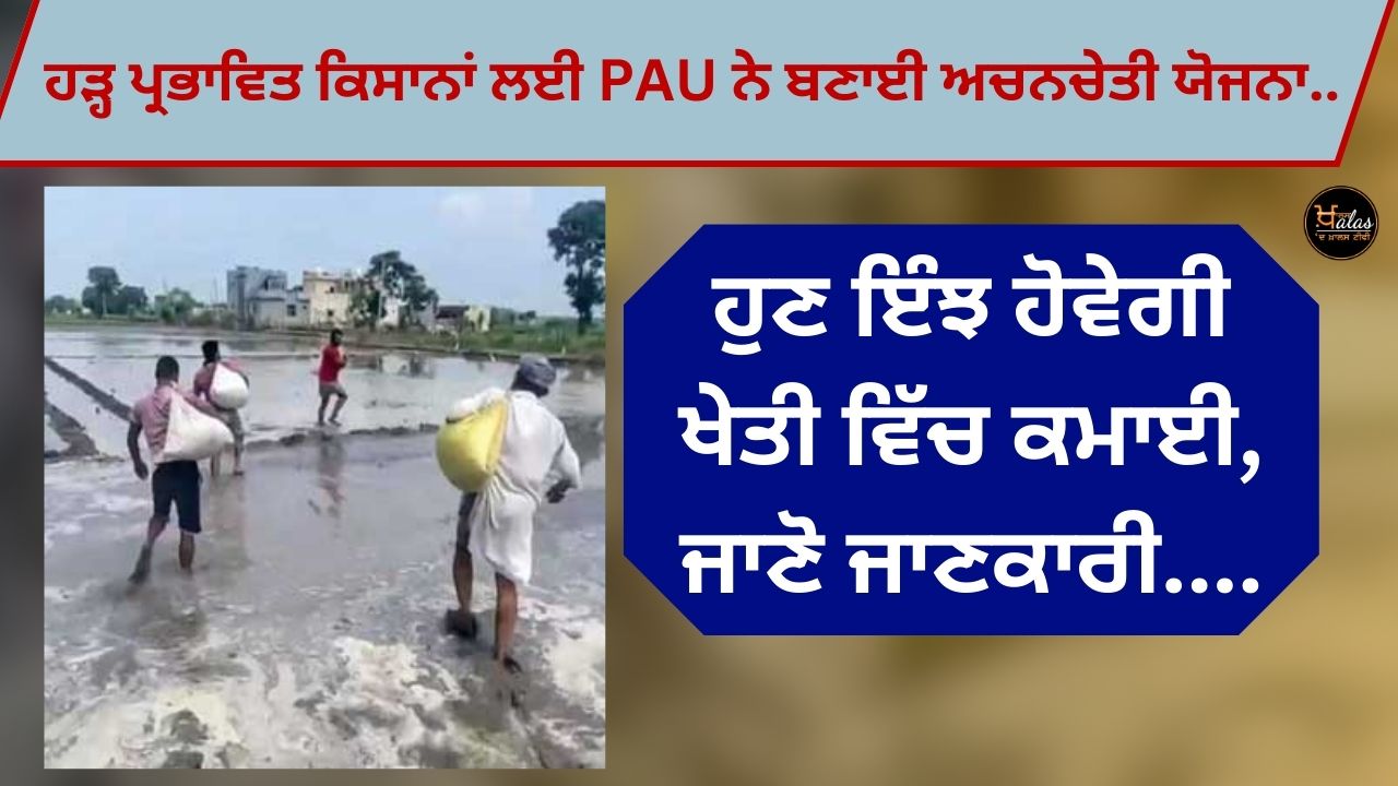 pau, Ludhiana, agriculture news, flood in Punjab, flood