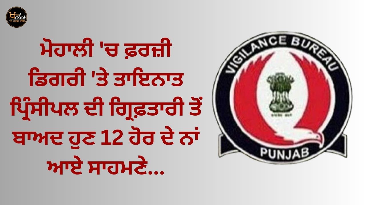 After the arrest of the principal posted on a fake degree in Mohali, the names of 12 others have now come to light...