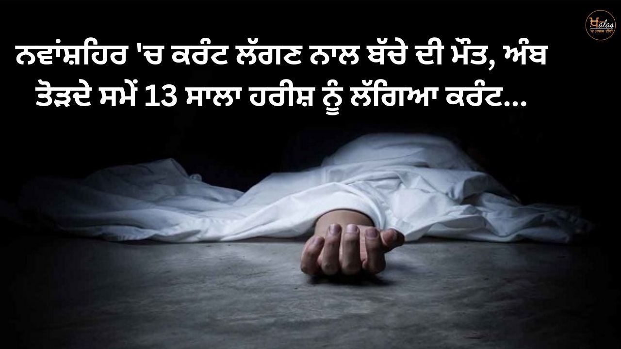 A child died due to electrocution in Nawanshahr, 13-year-old Harish was electrocuted while plucking a mango...