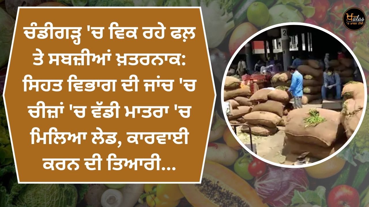 Fruits and vegetables sold in Chandigarh are dangerous: In the health department's investigation, a large amount of lead was found in the items, preparation for action...