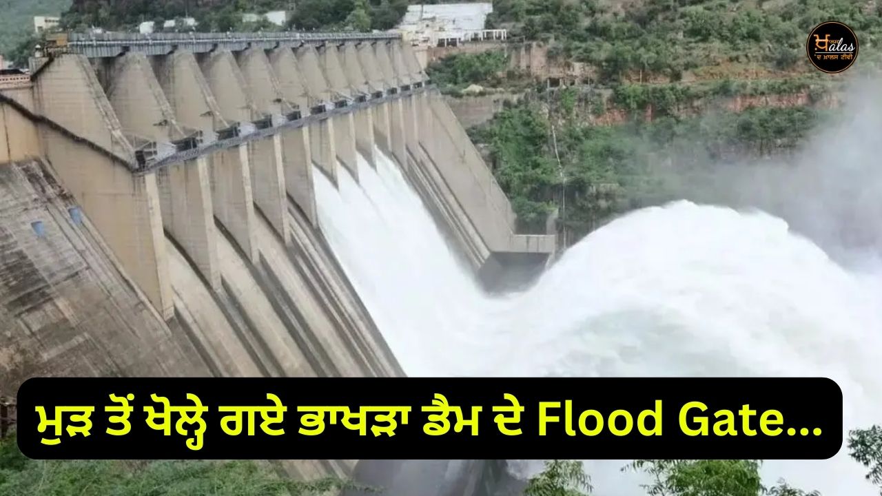 Flood Gate of Reopened Bhakra Dam...