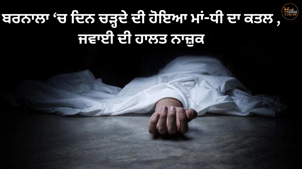 Mother and daughter were murdered at dawn in Barnala, the condition of the son-in-law is critical
