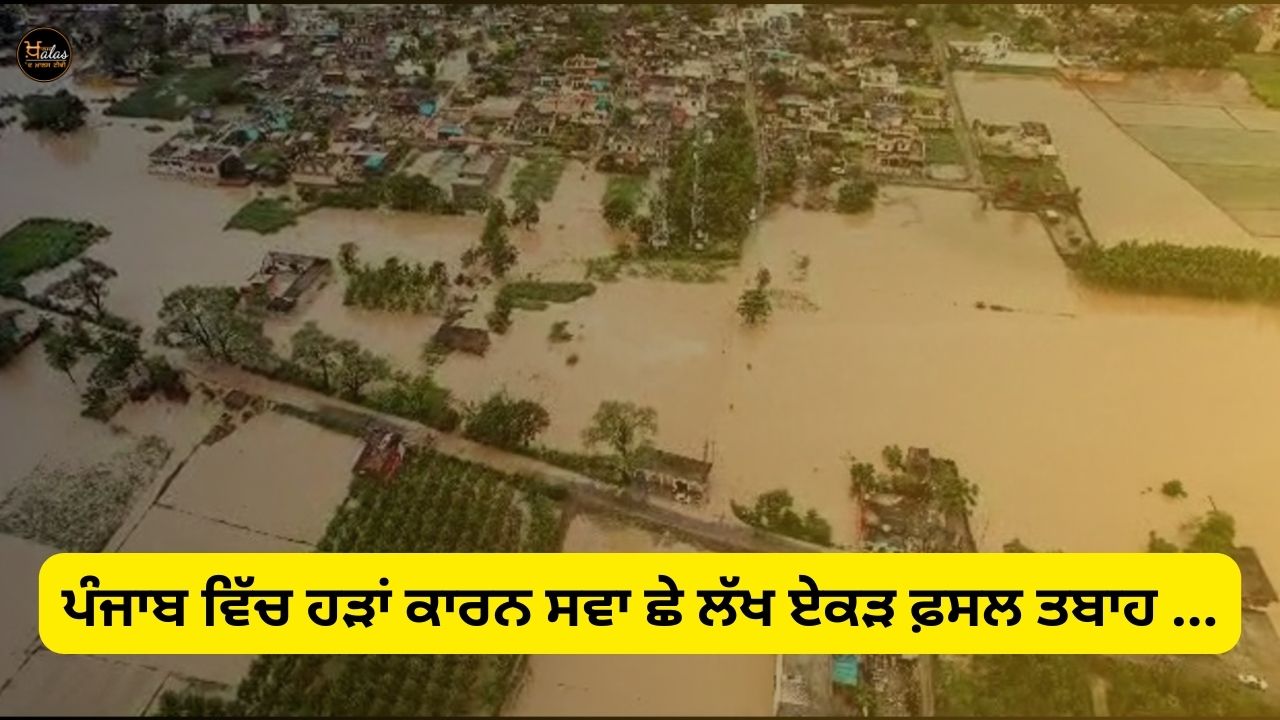 In Punjab, six and a half lakh acres of crops were destroyed due to floods.