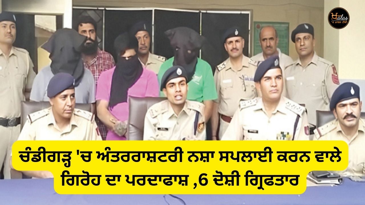 An international drug supply gang busted in Chandigarh, 6 accused arrested