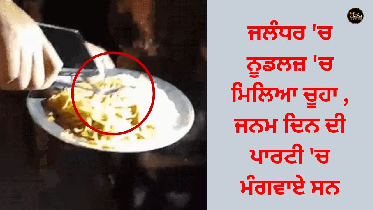 Rat found in noodles in Jalandhar