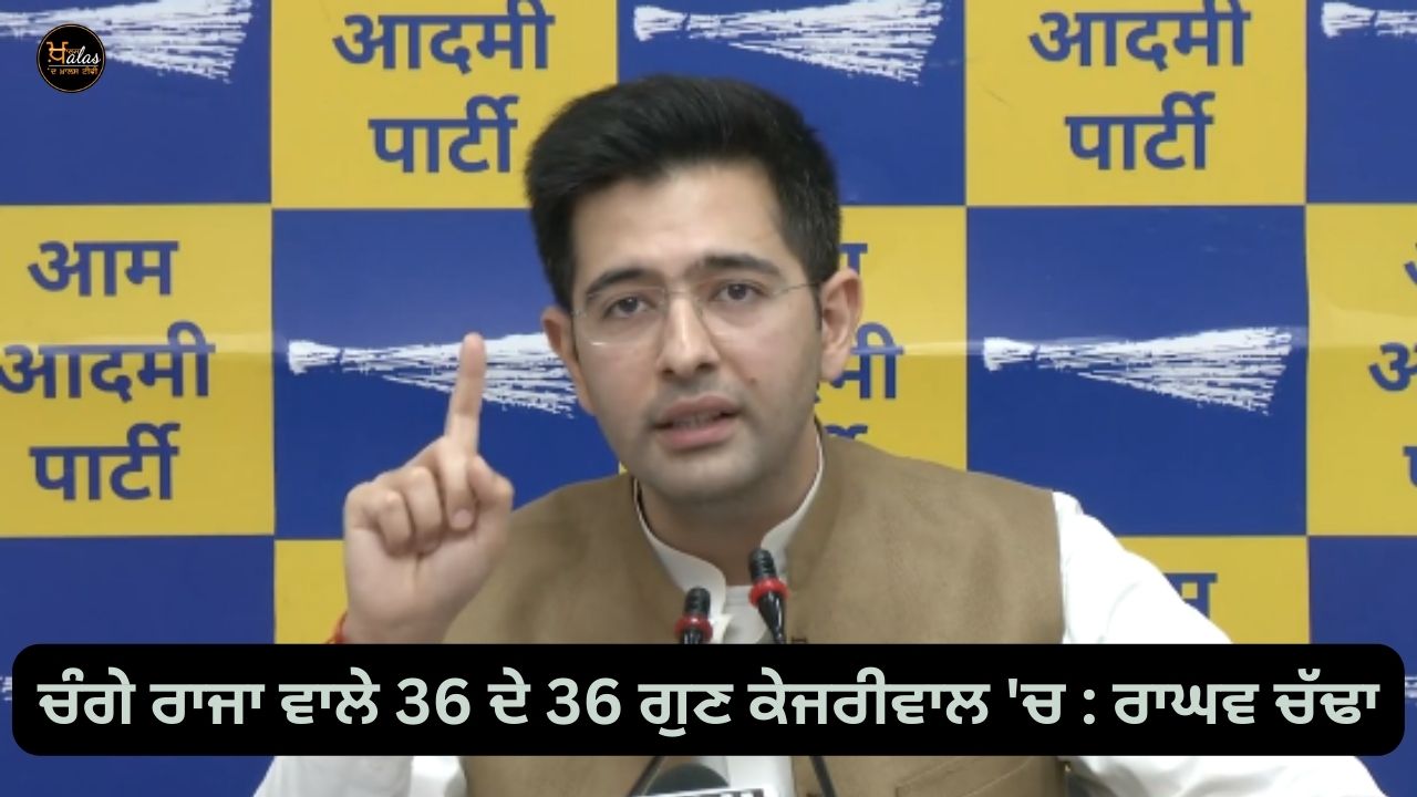 36 qualities of a good king in Kejriwal: Raghav Chadha