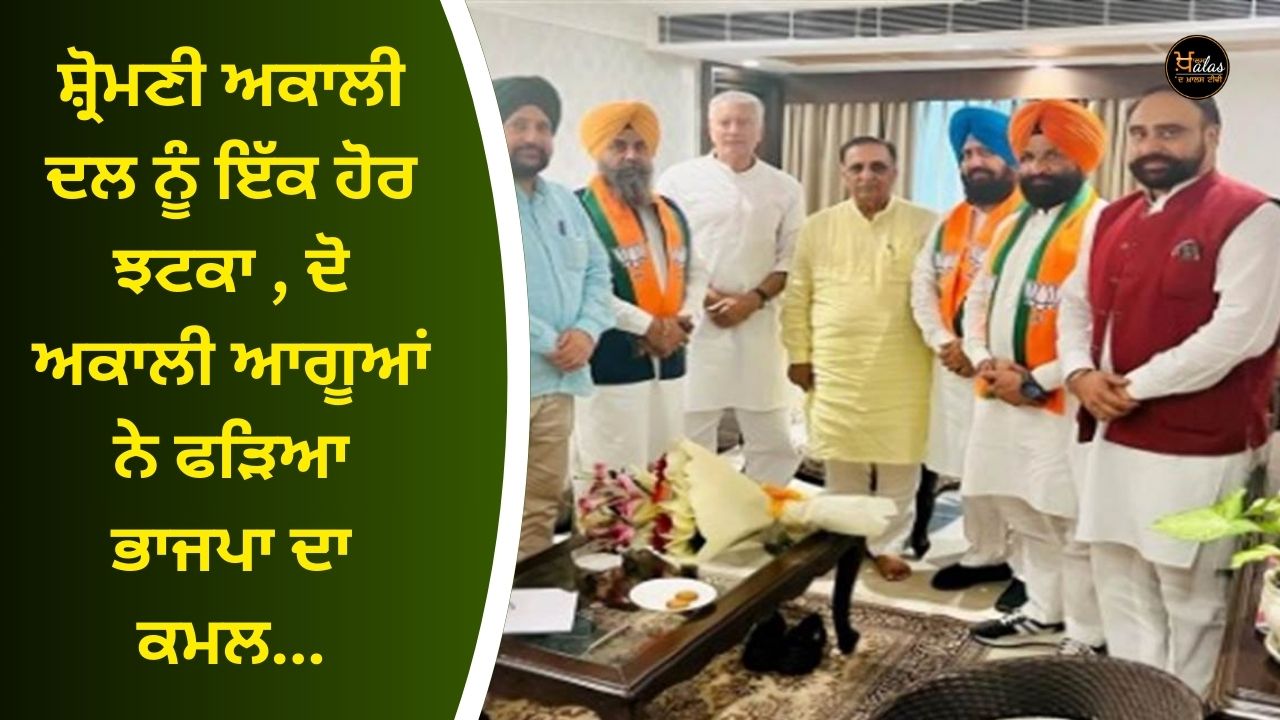 Another blow to Shiromani Akali Dal, two Akali leaders caught the lotus of BJP...