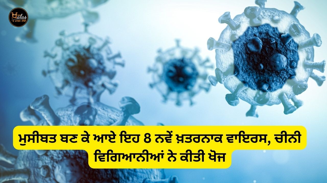 These 8 new dangerous viruses, which have become a problem, have been discovered by Chinese scientists