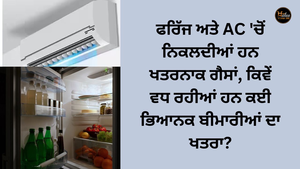 Dangerous gases are released from the refrigerator and AC, how is the risk of many dangerous diseases increasing?