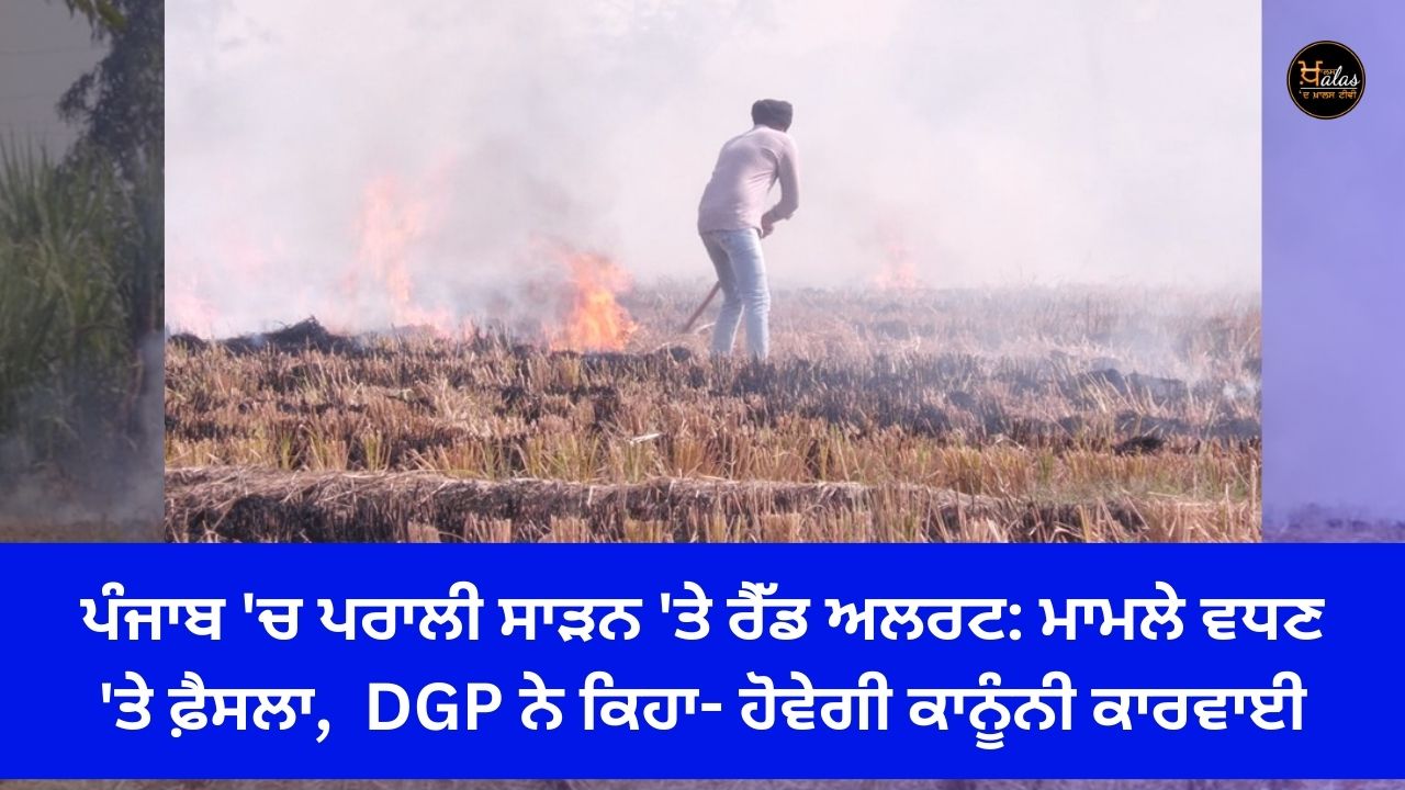 Red alert on stubble burning in Punjab: Decision will be taken if the case escalates, DGP said - legal action will be taken