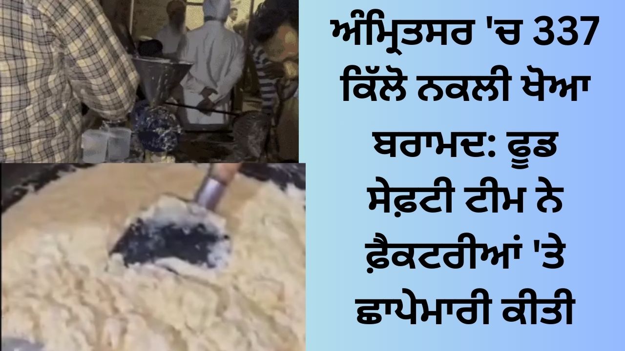 337 kg fake khoya recovered in Amritsar: Food safety team raided factories