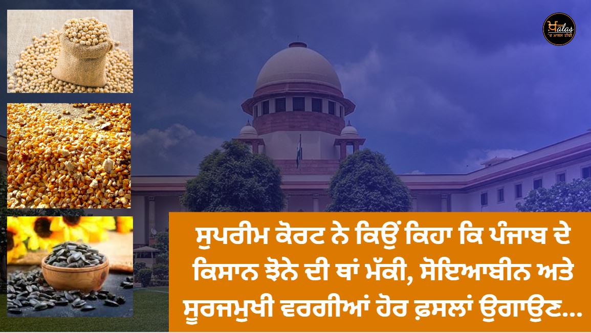 SC says rapid groundwater depletion will turn Punjab into a desert if not checked