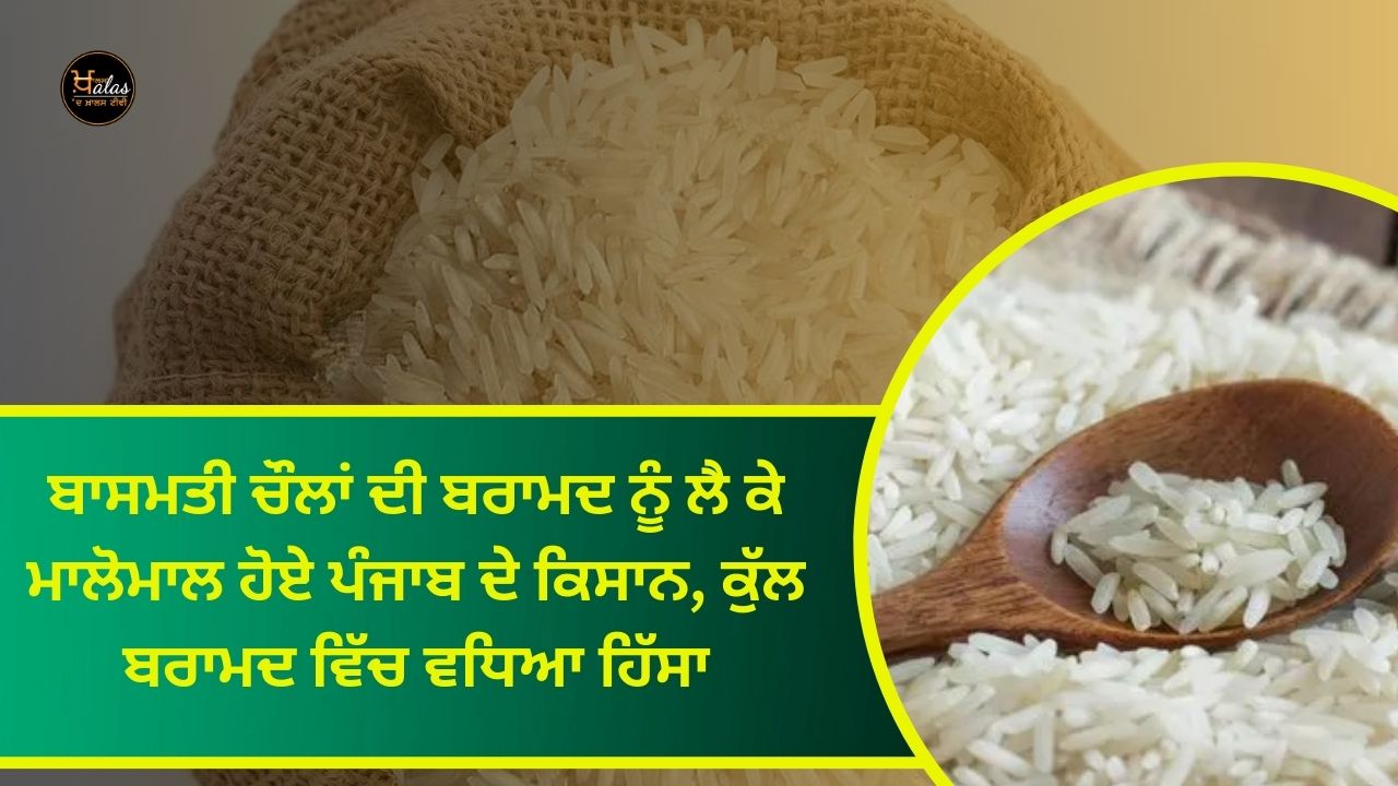 Farmers of Punjab have become rich due to export of Basmati rice, increased share in total export