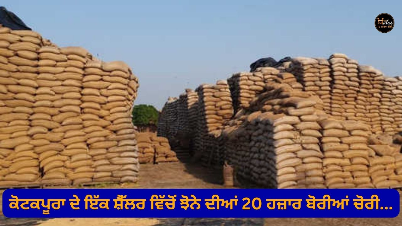 20 thousand sacks of paddy stolen from a sheller in Kotakpura...