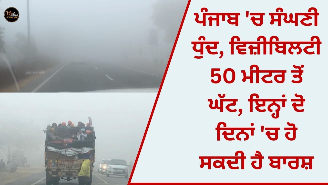 Dense fog in Punjab, visibility less than 50 meters, rain may occur in these two days