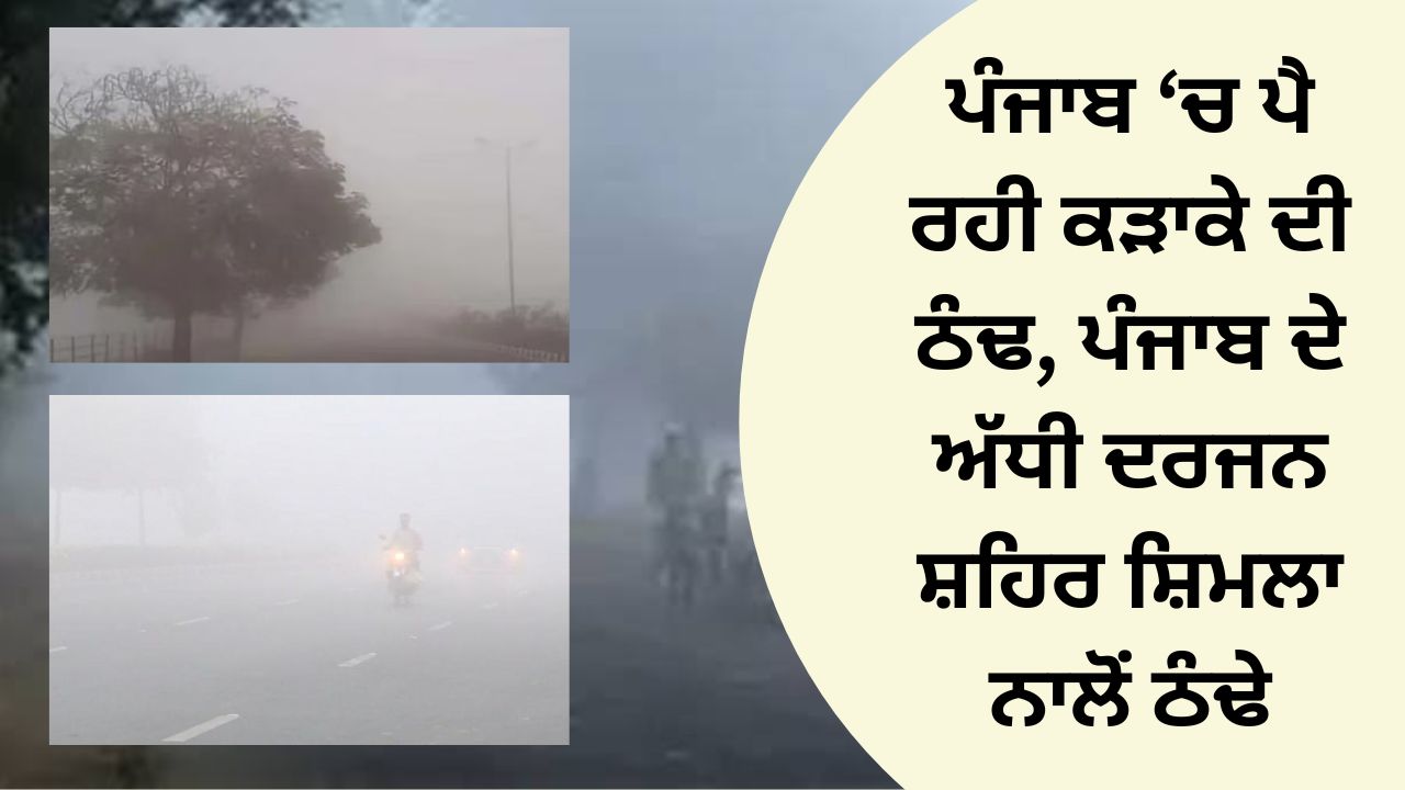 Severe cold in Punjab, half a dozen cities of Punjab are colder than Shimla