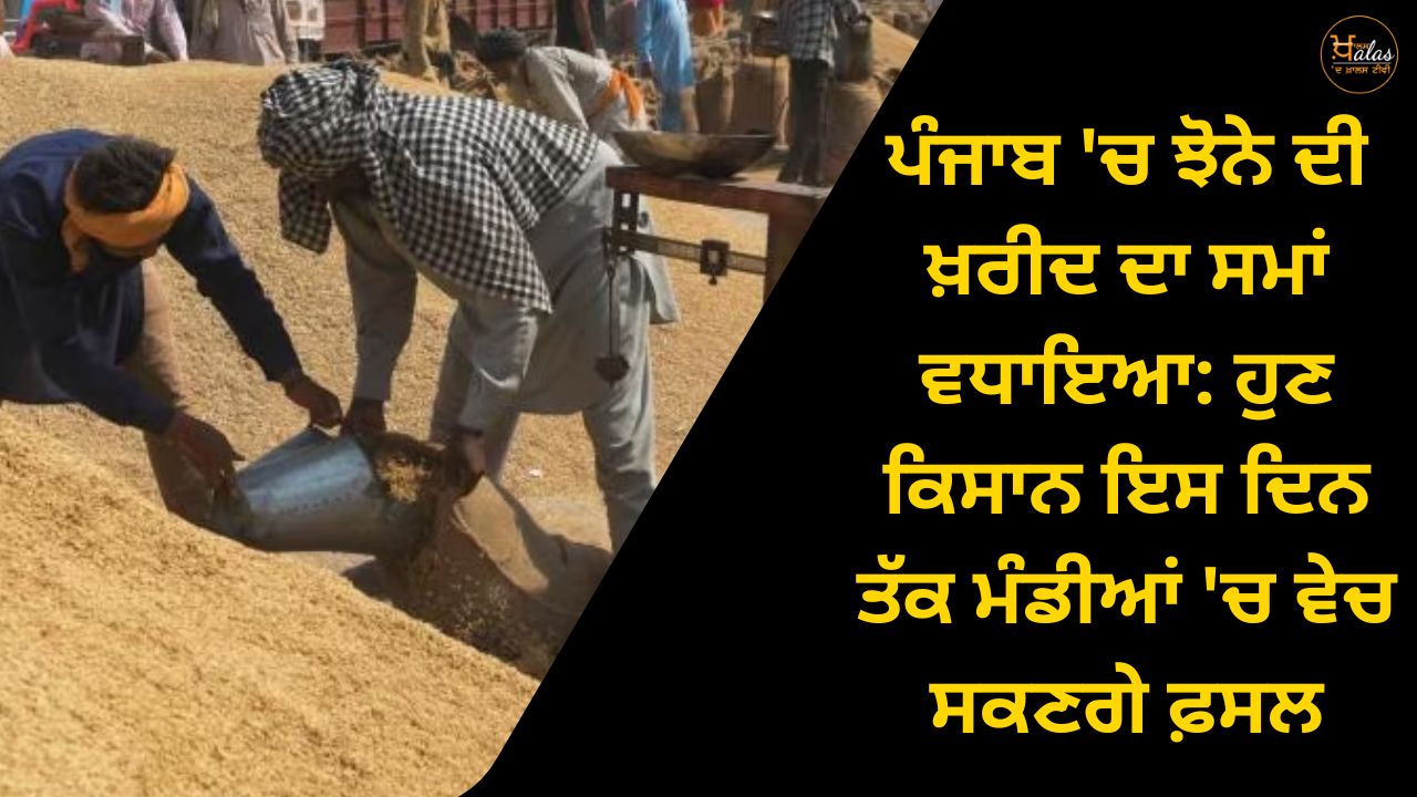 The time for purchasing paddy has been extended in Punjab: now farmers will be able to sell the crop in the markets till this day