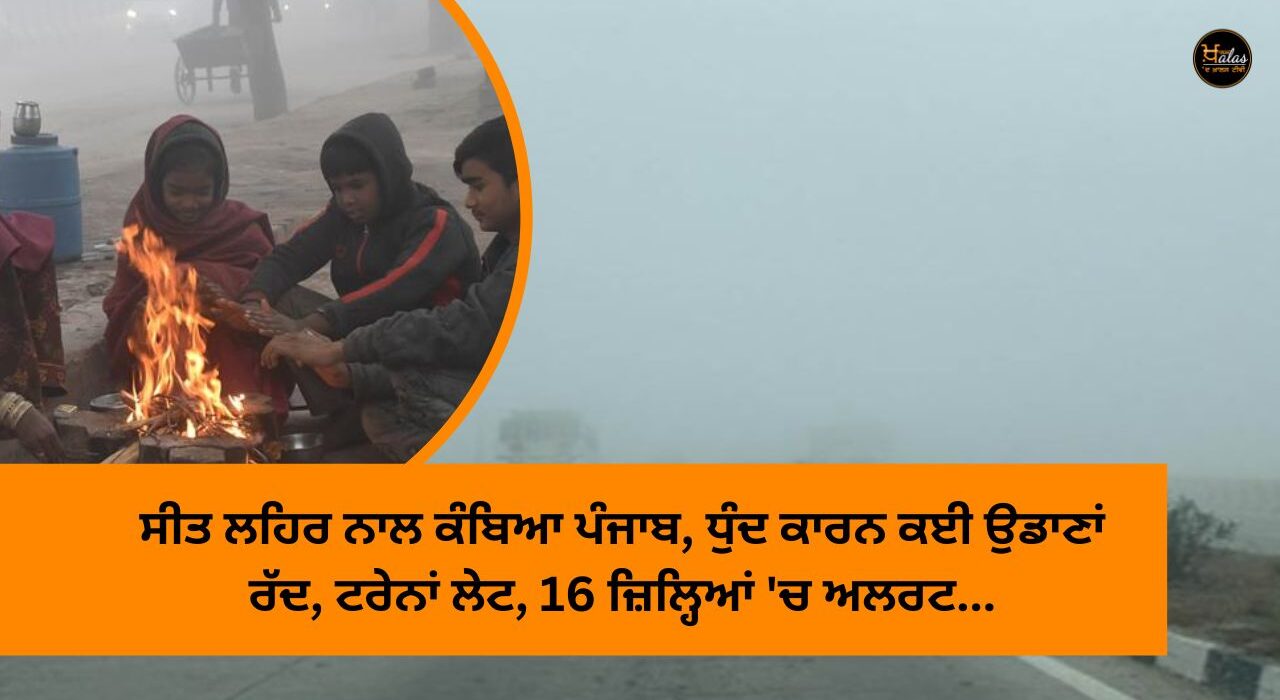 Punjab shivered with cold wave, many flights canceled due to fog, trains delayed, alert in 16 districts...