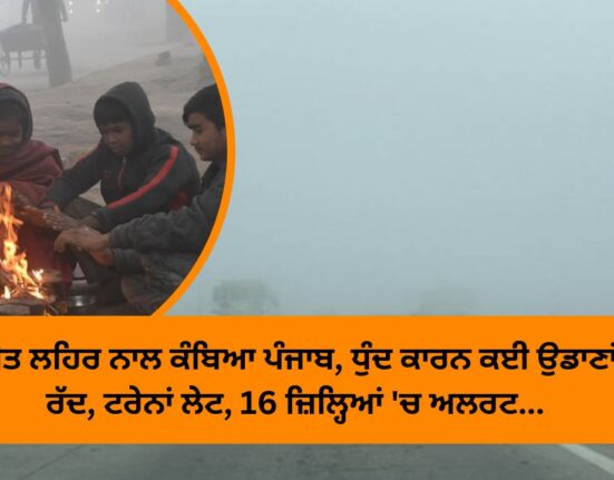 Punjab shivered with cold wave, many flights canceled due to fog, trains delayed, alert in 16 districts...