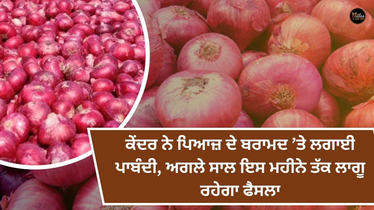 The center has imposed a ban on the export of onions, the decision will be in force till this month next year