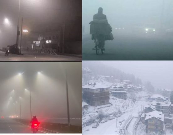 In Haryana, Punjab and Chandigarh, people were affected by the cold, in Amritsar many flights were delayed due to fog...