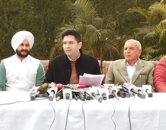 What BJP did in the elections can only be called treason: Raghav Chadha
