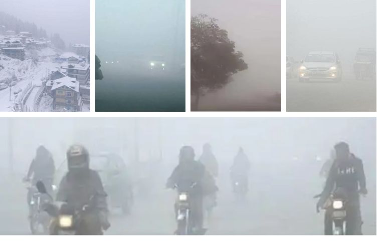 Dense fog in Haryana-Punjab, zero to 10 meter visibility: Snow warning in Himachal