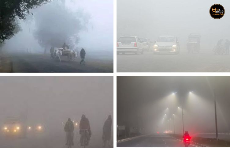 Fog red alert in Punjab-Haryana today: Visibility less than 25 meters