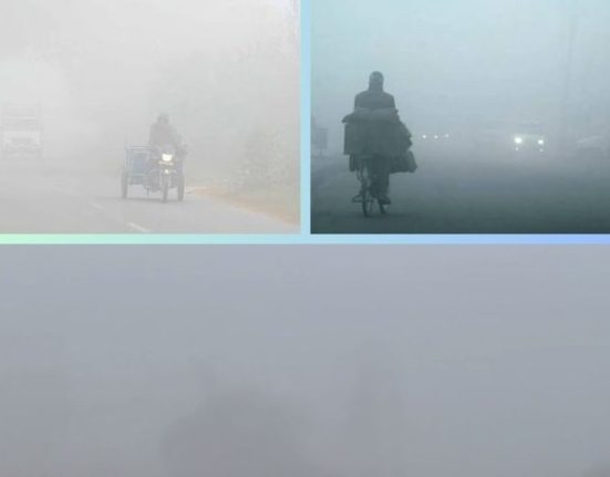 In Punjab, the mercury reached -0.4 degrees, fog red alert in seven districts