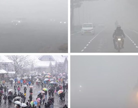 Dense fog in Haryana, zero to 10 m visibility: cold wave in Punjab, rain and snowfall likely in Himachal