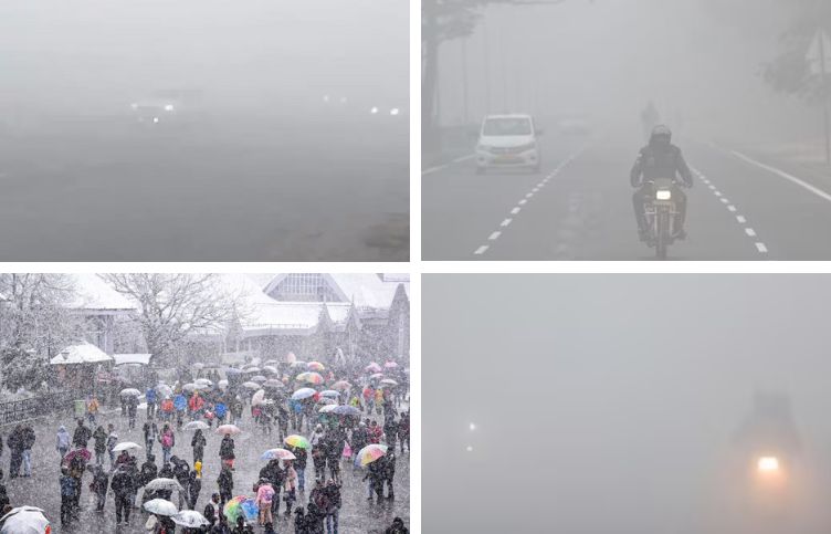 Dense fog in Haryana, zero to 10 m visibility: cold wave in Punjab, rain and snowfall likely in Himachal