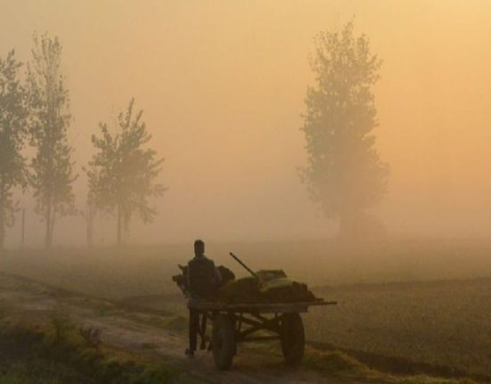 Changed weather in Punjab-Haryana and Chandigarh: Temperature increased due to sunshine...