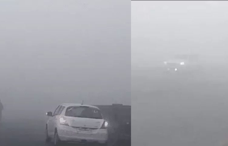 The fury of fog continues in Punjab-Haryana, ; Yellow alert in Chandigarh, possibility of snowfall again today in Himachal