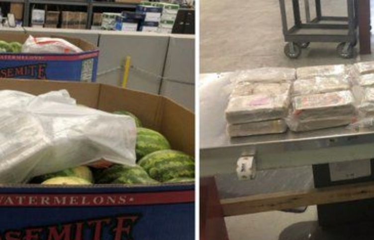 The truck driver of Indian origin confessed to the crime of smuggling 30 kg of cocaine in Canada