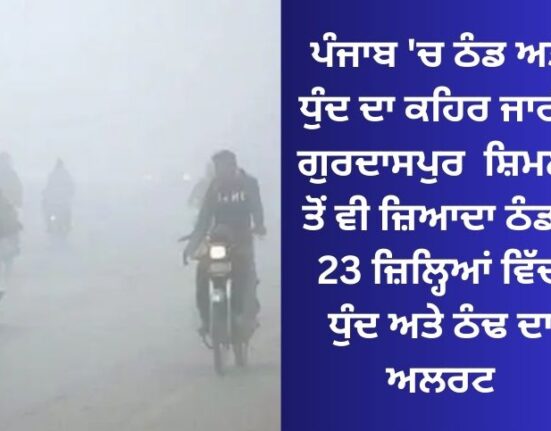 Fury of cold and fog continues in Punjab: Gurdaspur colder than Shimla; Fog and cold alert in 23 districts