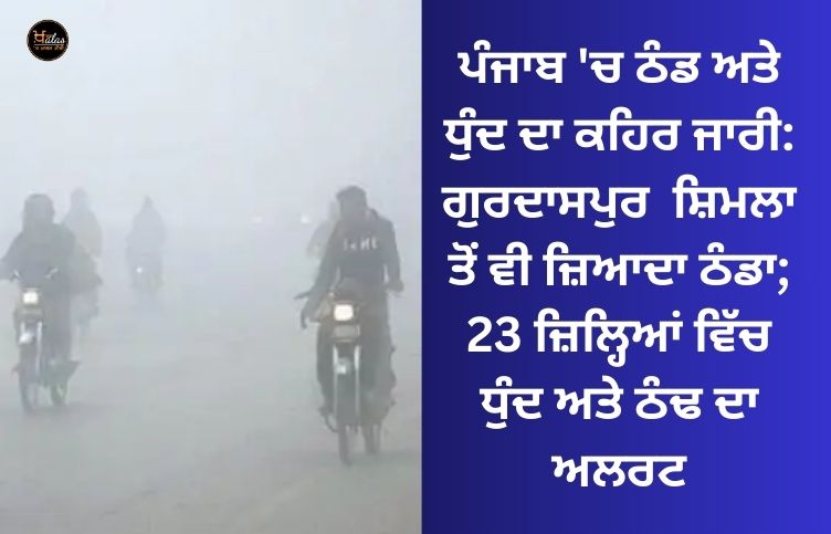 Fury of cold and fog continues in Punjab: Gurdaspur colder than Shimla; Fog and cold alert in 23 districts