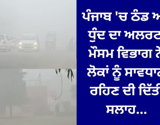 Cold and fog alert in Punjab: Meteorological Department advises people to be careful...