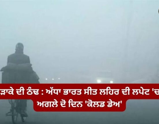 Severe cold: half of India in the grip of cold wave; Next two days 'cold days'