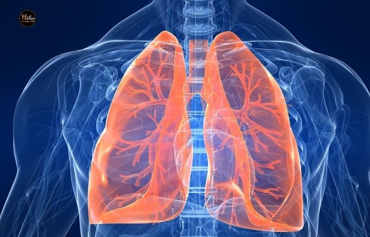 Symptoms of Lungs Disease