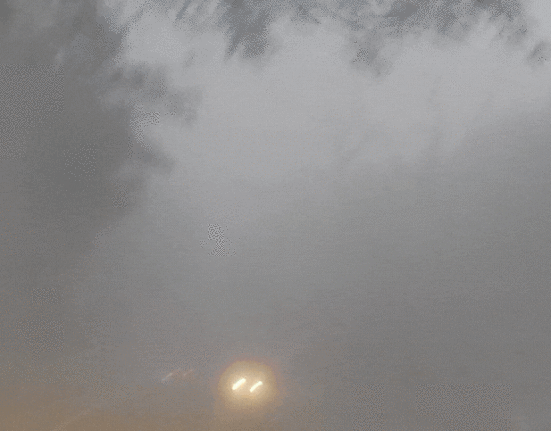 Dense fog, cold wave alert, Punjab news, weather updates