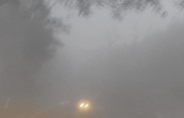 Dense fog, cold wave alert, Punjab news, weather updates