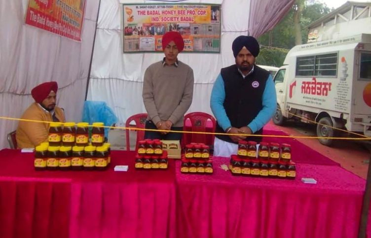 Young Pradeep Singh made the name of district Sri Muktsar Sahib Roshan in honey production