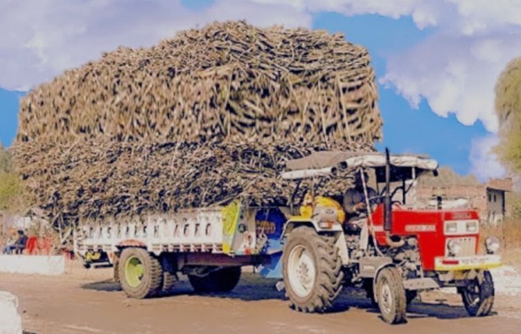 The Centre approved a ₹25/quintal hike in fair and remunerative price (FRP) of sugarcane for the 2024-25 season (October-September). Last year, the FRP was raised by ₹10/quintal.