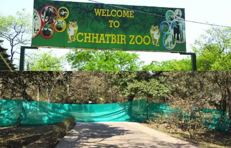 Foot-and-mouth disease , Chandigarh's Chhatbir Zoo, punjab news