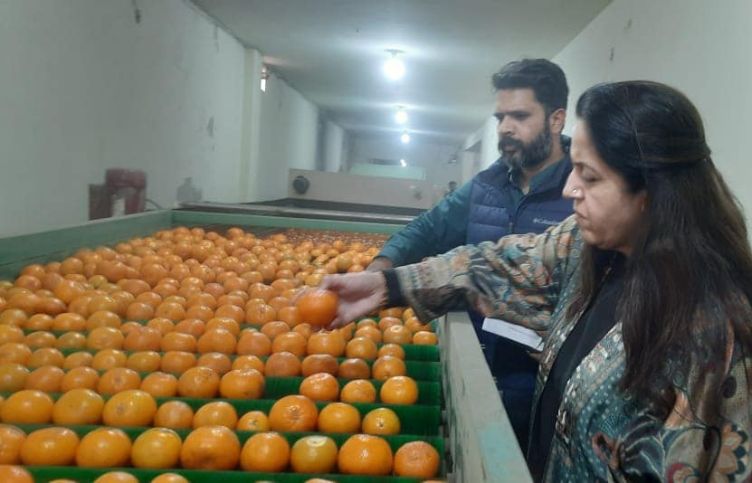 Punjab Agro has started sending fruit of Kinnow for mid-day meal