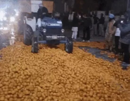 Farmers threw Kinnu in front of DC office in Abohar: tractors were driven away after not getting the price; Said - purchase is being made from Badal farm