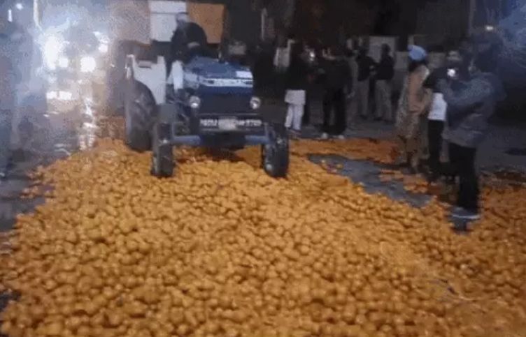 Farmers threw Kinnu in front of DC office in Abohar: tractors were driven away after not getting the price; Said - purchase is being made from Badal farm